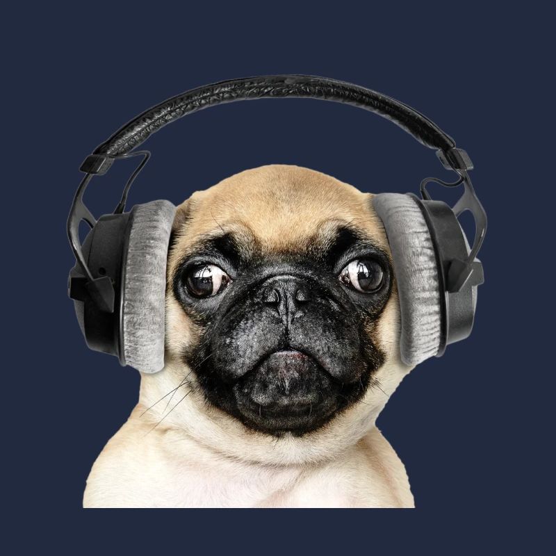 Mops mit Kopfhörer