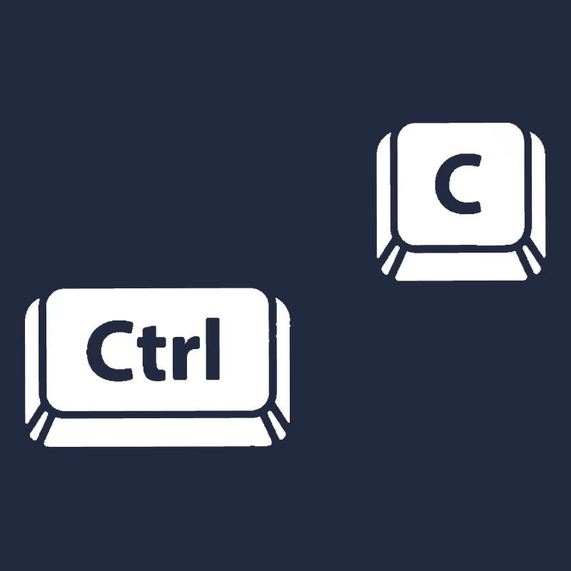 Ctrl C