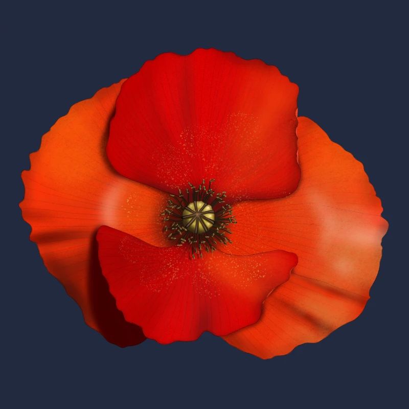 Fleur de coquelicot
