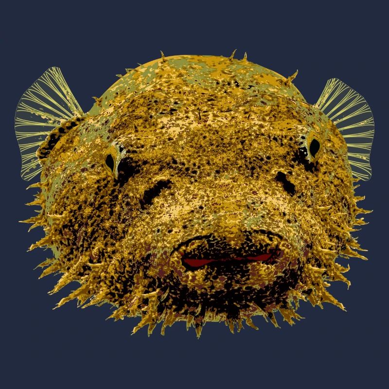 Puffer Fish Tetraodon Baileyi Buffer Aquarium Fish