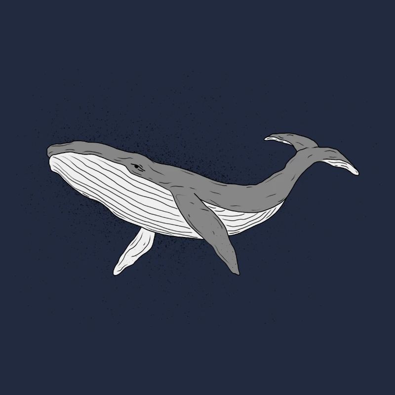 Sparkly whale
