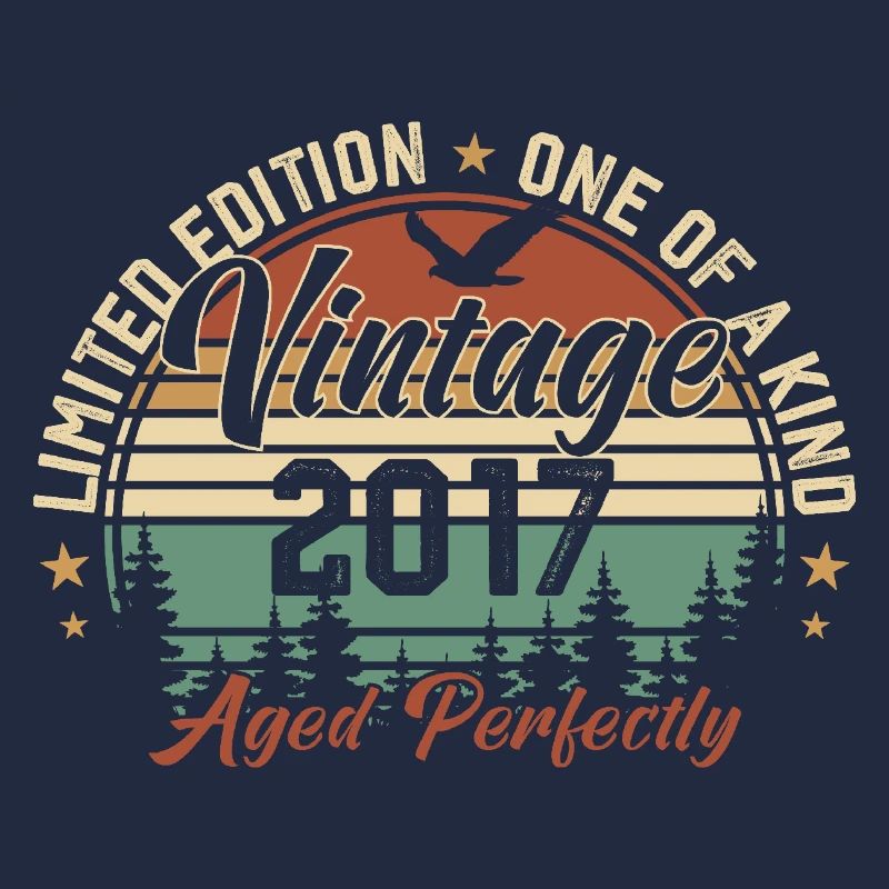 Vintage 2017 Rétro 2017 Cadeau D'anniversaire 2017
