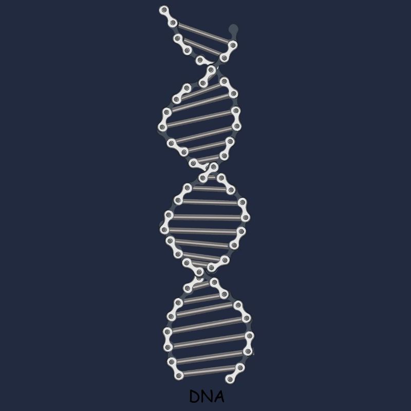 Fahrrad-DNA