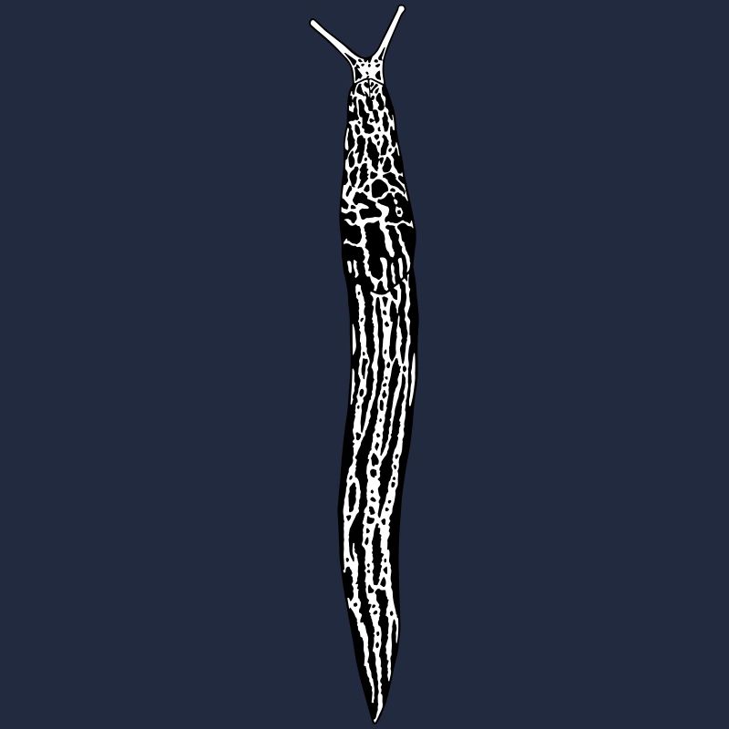 Tigerschnegel