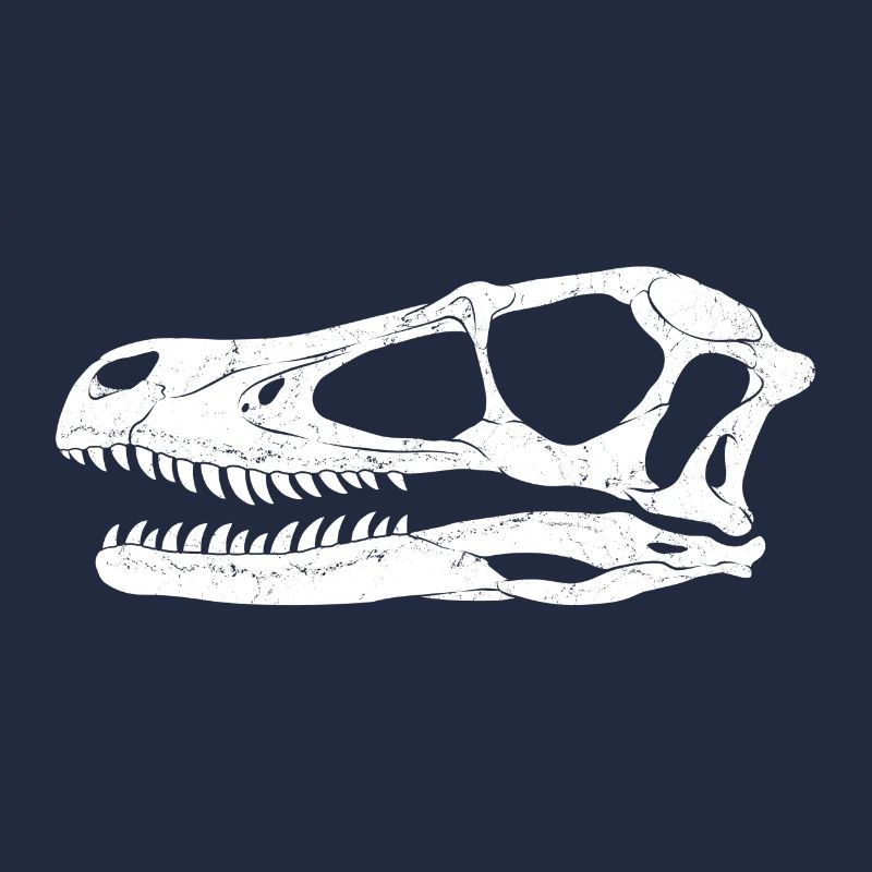 Fossile de Velociraptor