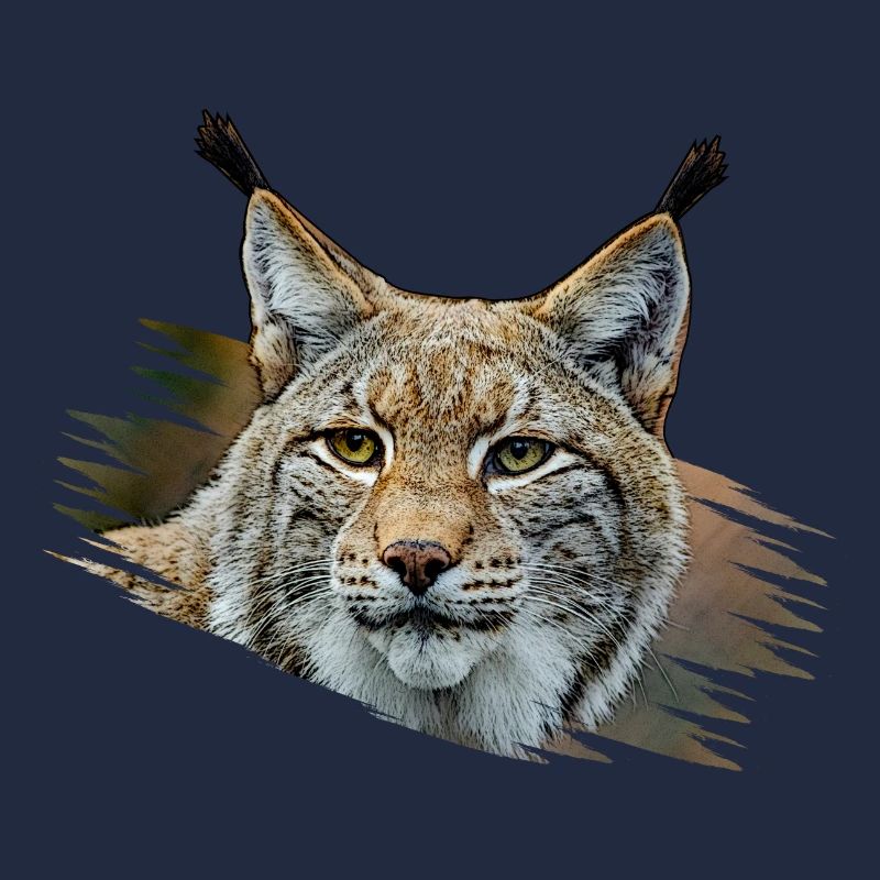 Luchs