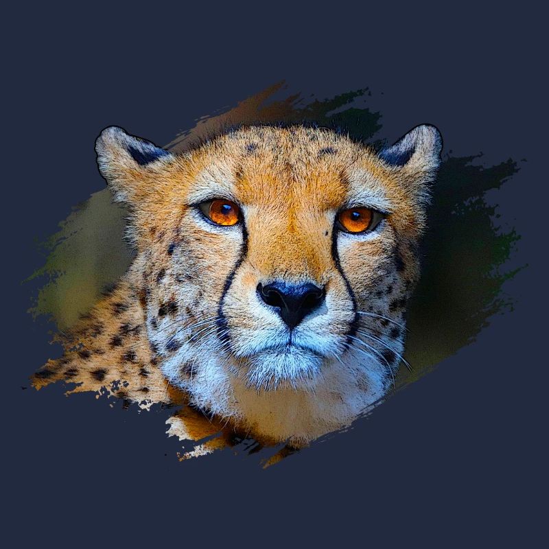 Gepard