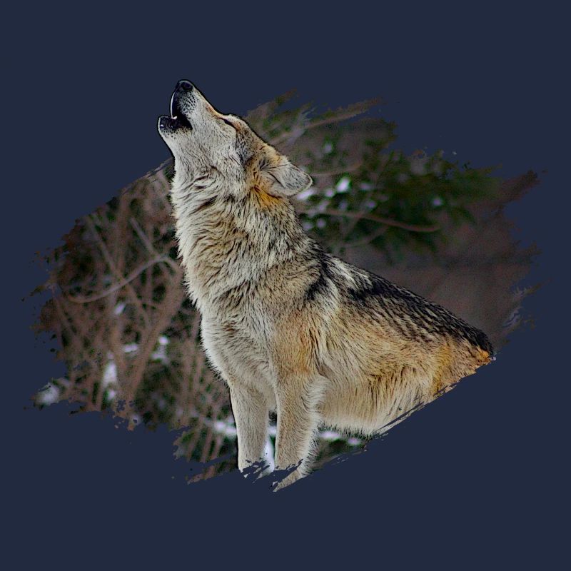 Loup