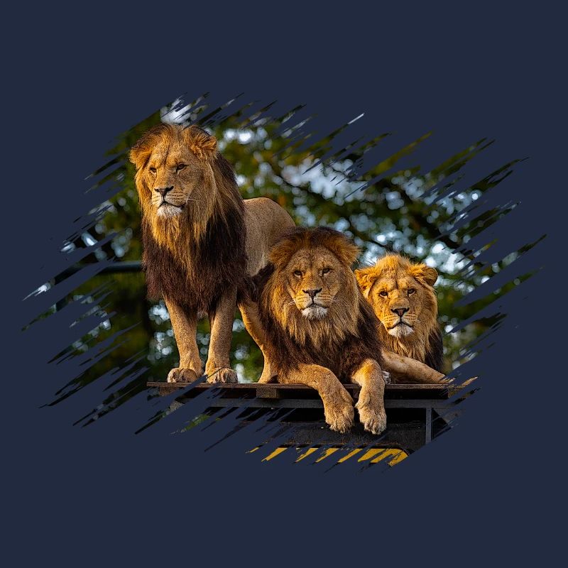 lions