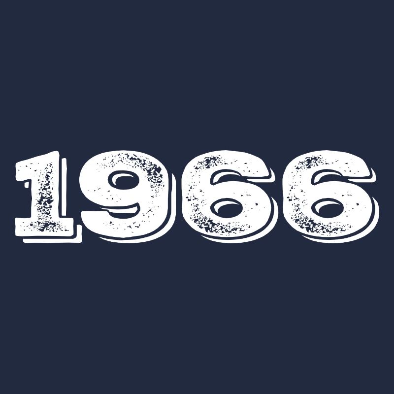 Geburtstagsgeschenk 1966 - 1966