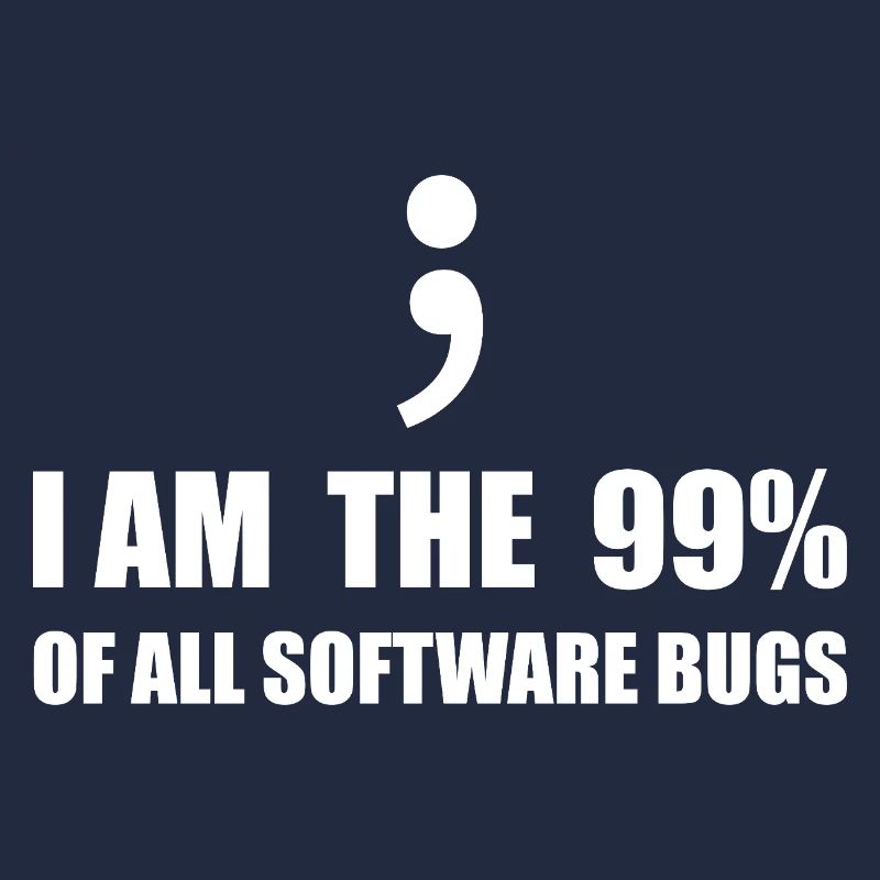 Informatiker, Programmierer
