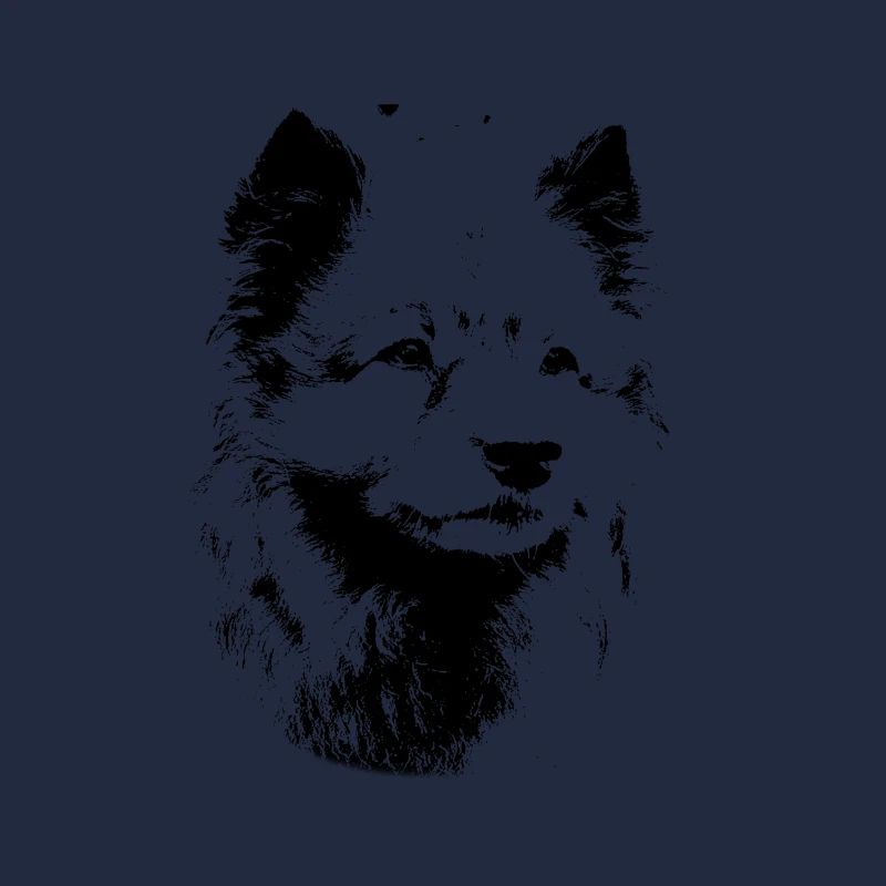 Wolfsspitz Hunderasse