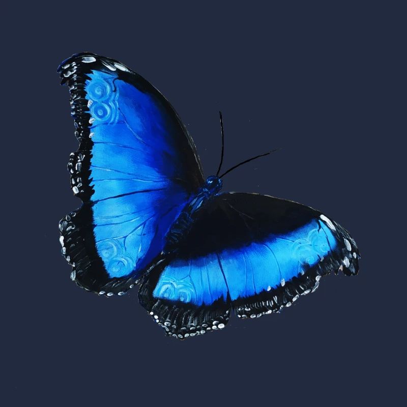 Papillon bleu Symbole papillon bleu