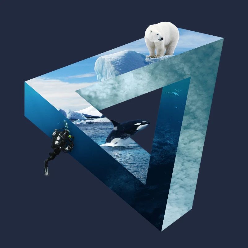 Arctic Ocean