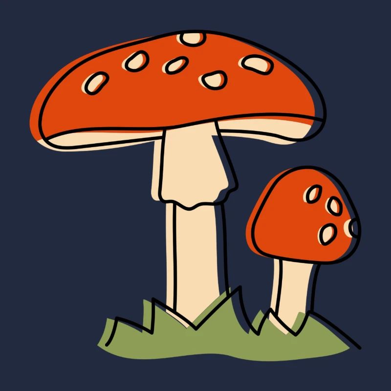 Mouche champignons agaric Champignon