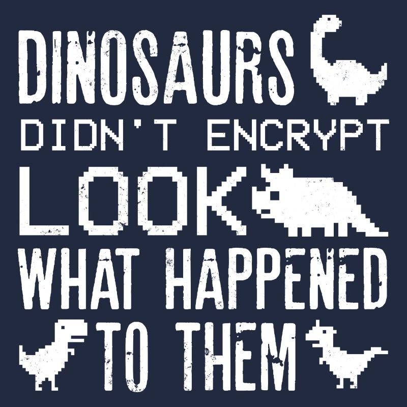 Cyber Security Professional Expert Ethical Hacker