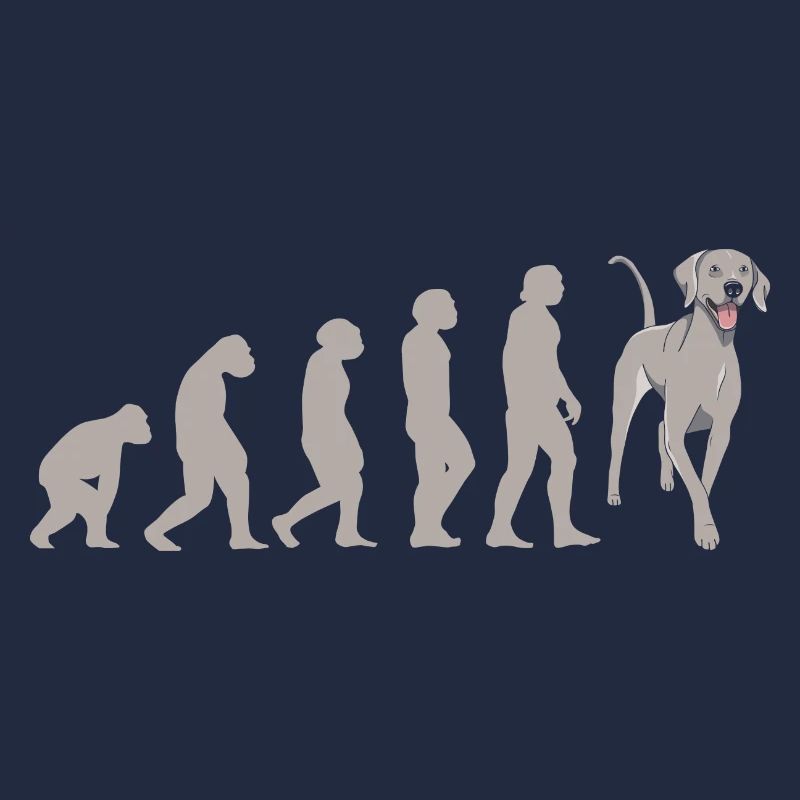 Braque de Weimar Evolution