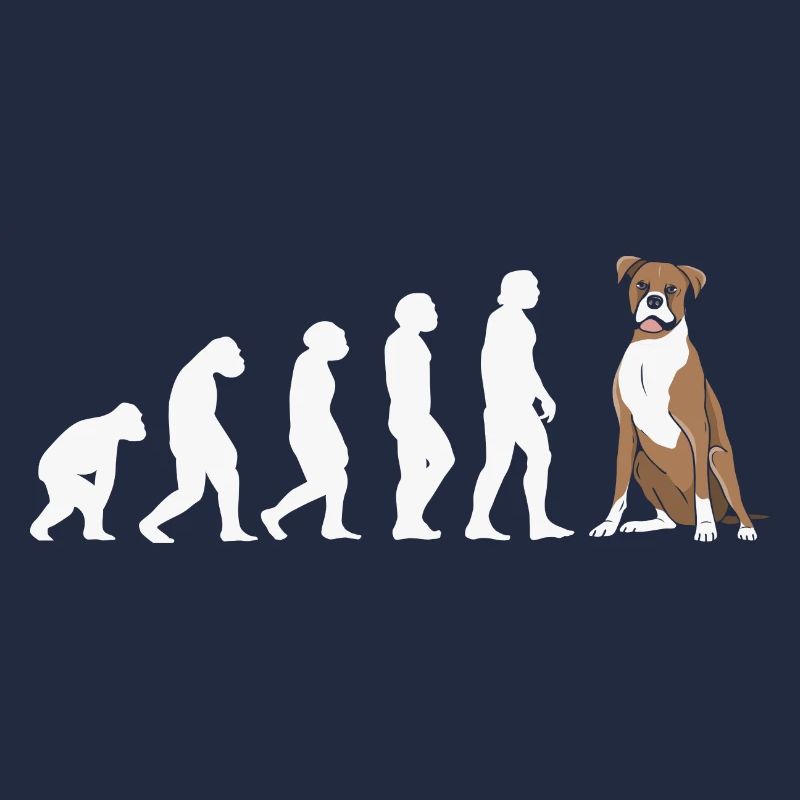 Evolution Boxer