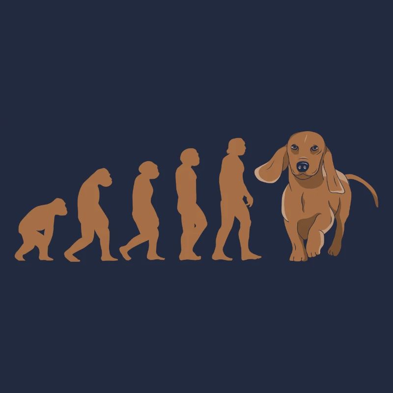 Evolution Dachshund