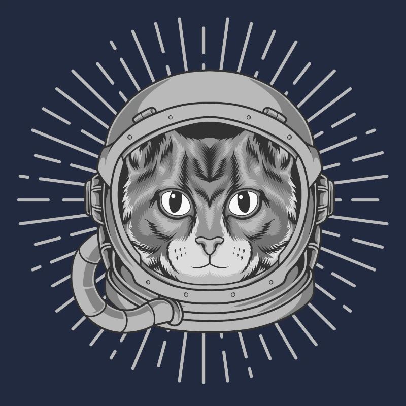 Chat astronaute