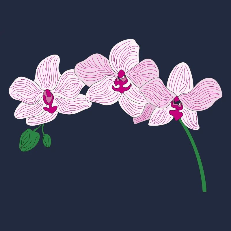 orchidée rose fleur