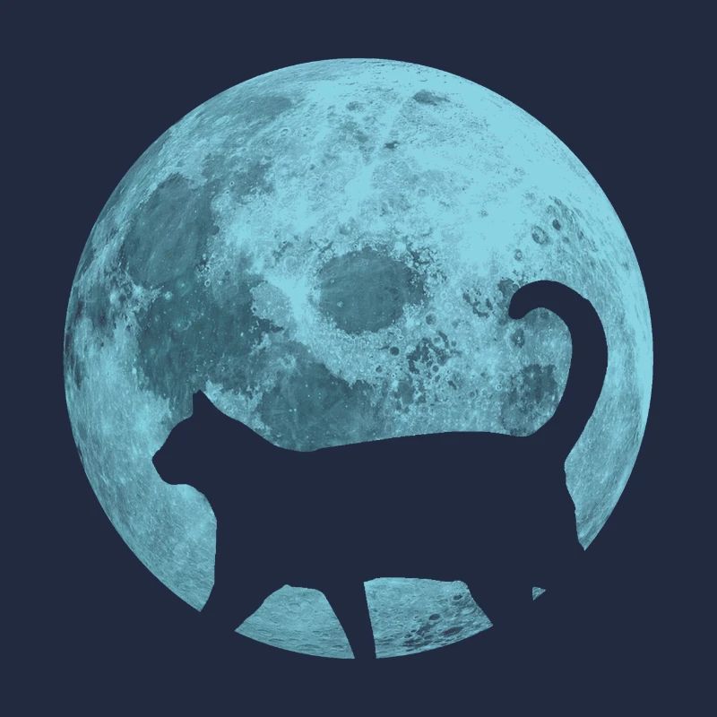 Cat full moon