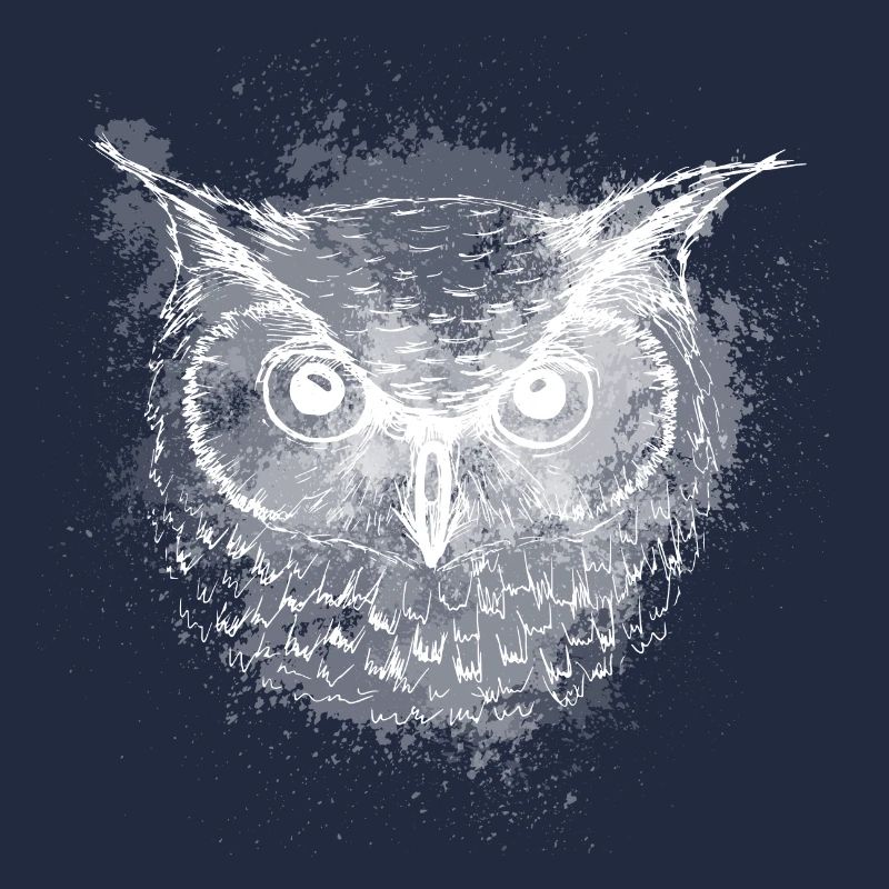 Owl at Night