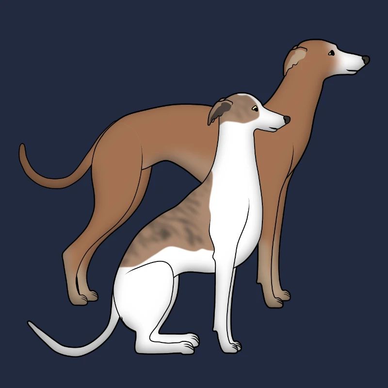 Two whippets