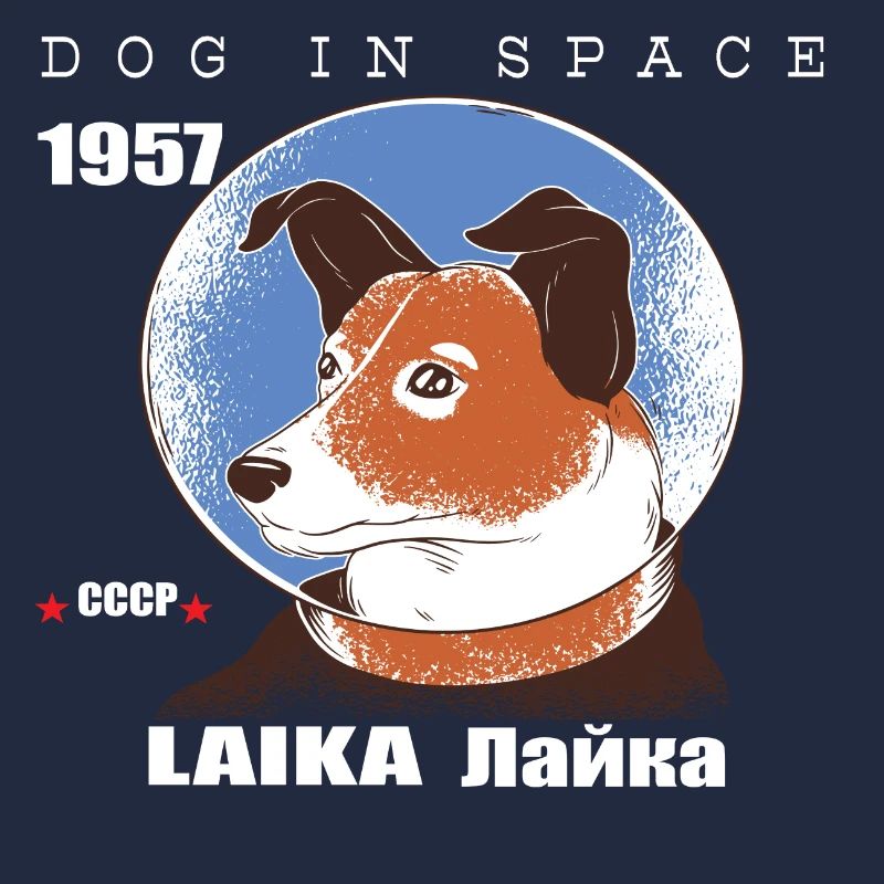 Chien de l'espace, LAIKA, cadeau de voyage spatial de 1957, espace