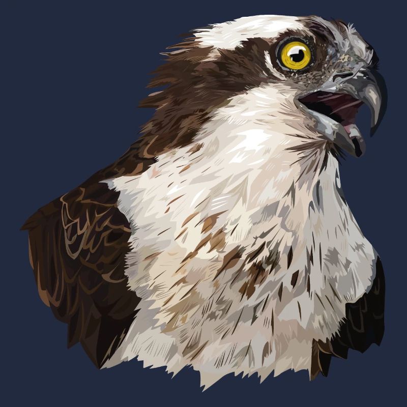 Osprey