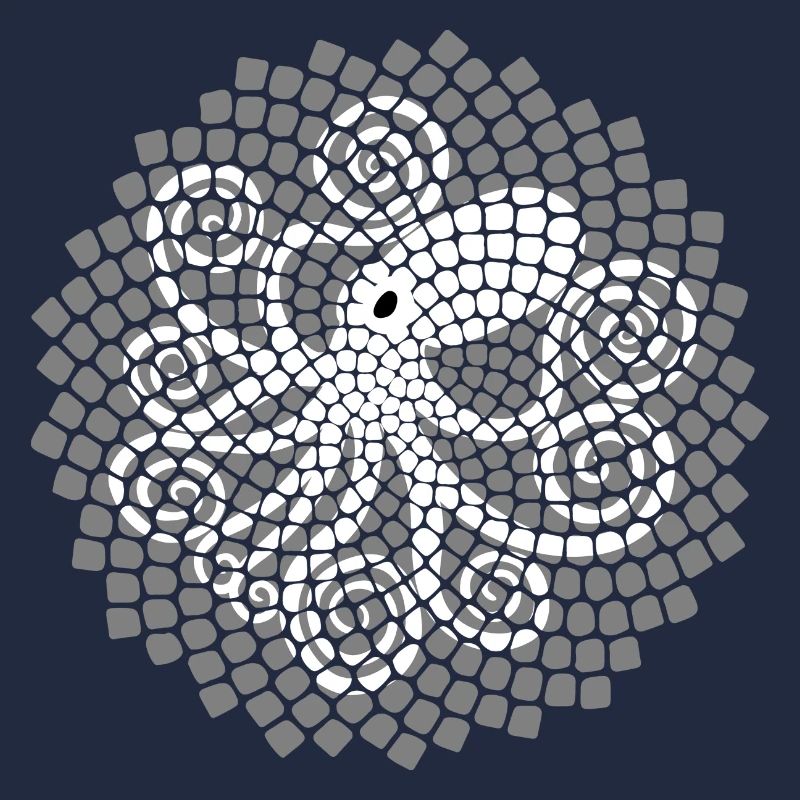 Fibonacci Squid