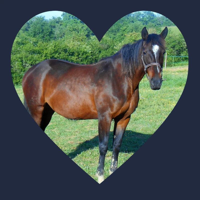 Conception du coeur de cheval