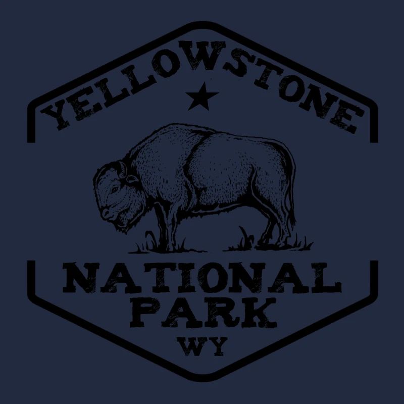 Yellowstone NP bison noir
