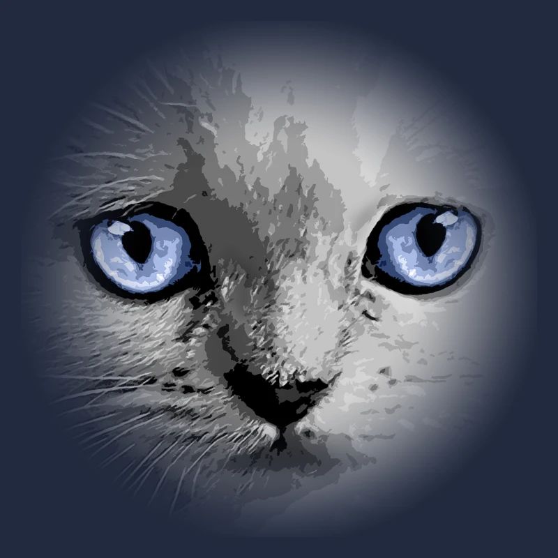 Kitty Kätzchen Katze