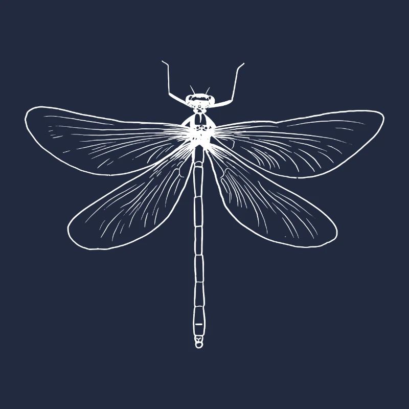 Libellule