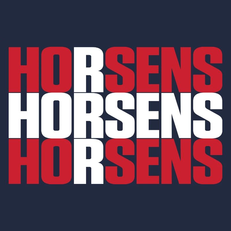 Horsens Danemark Drapeau