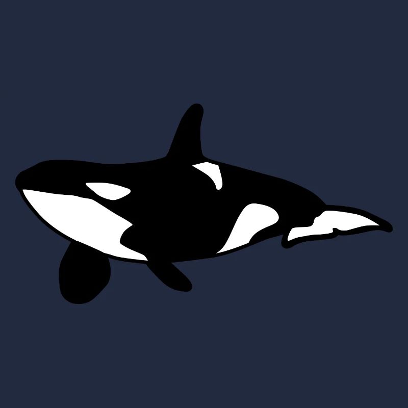 Orca Baleine mer