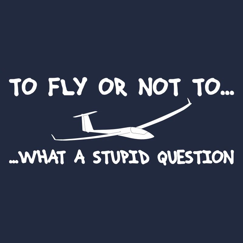 Question pilote planeur pilote planeur planeur