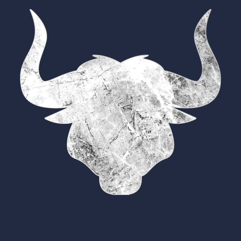 Stier