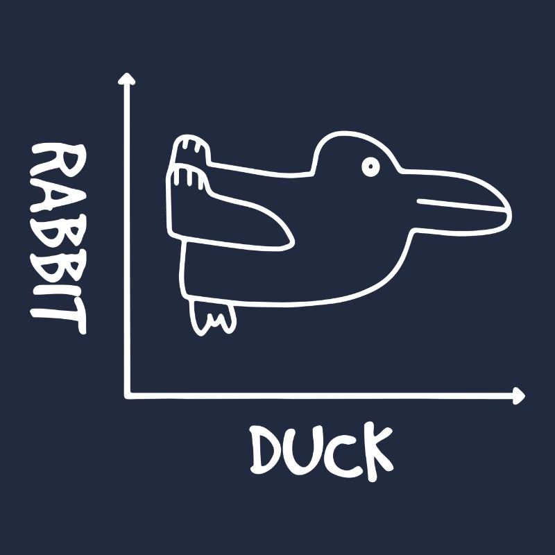 Graphismes Hasse Ente Illusion Illusion De Maths