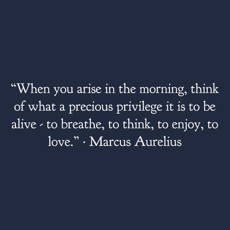 Wenn Du Morgens Aufstehst Marcus Aurelius