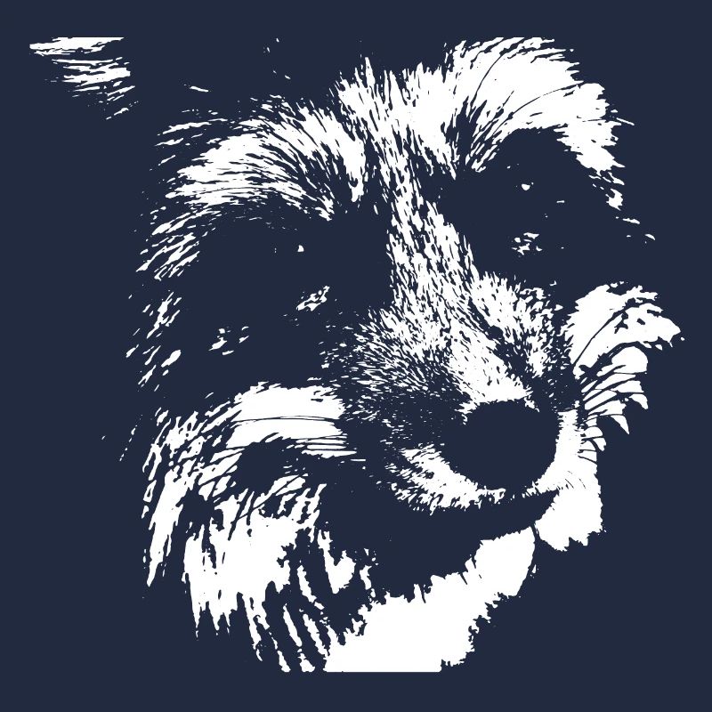 Renard noir et blanc