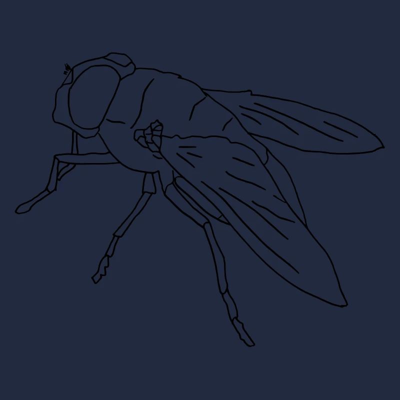 Fliege fly Riesenfliege