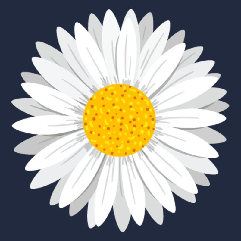 Daisy Fleur marguerite blanche fleur fleur