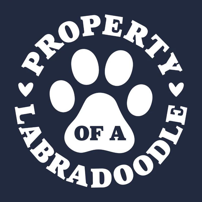 Eigentum eines Labradoodles