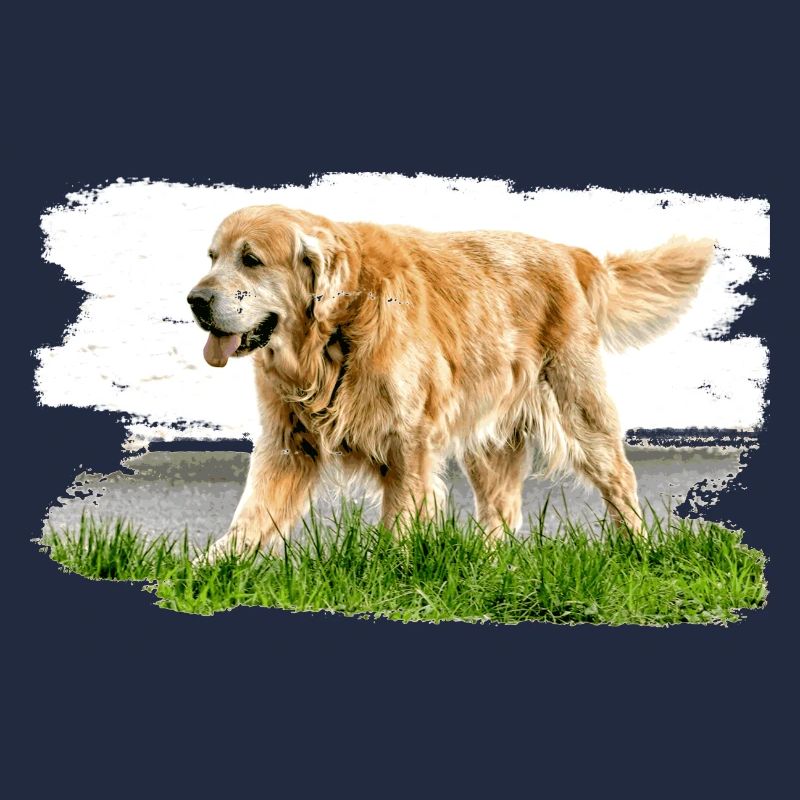 Golden Retriever a un tempérament affligé