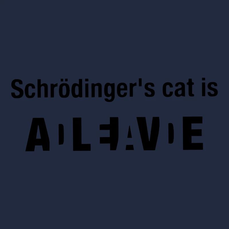 Schroedinger Catinger Chats Rengaine Cadeau