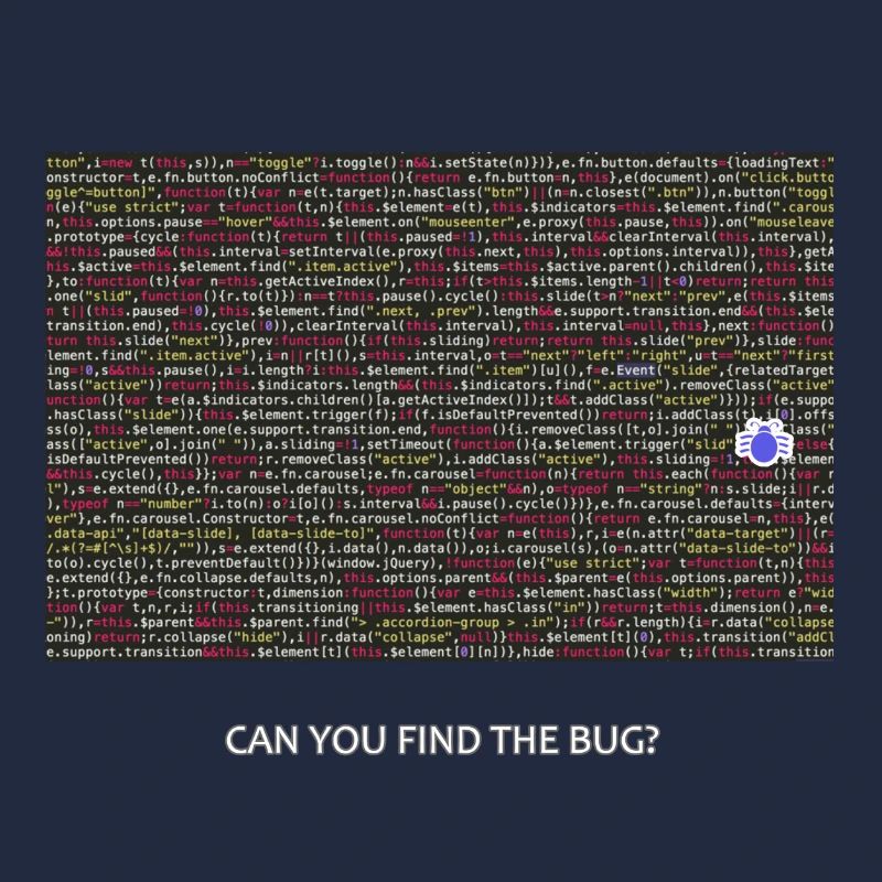 Programmer, coder, bugs, debugging