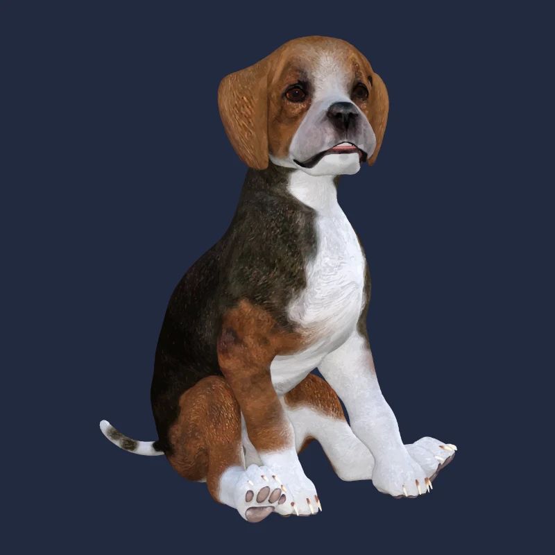 Beagle puppy