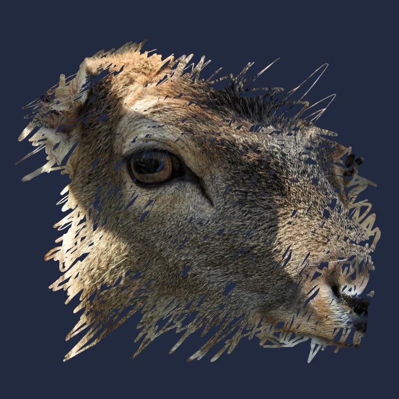 Fallow deer is observed by a hunter